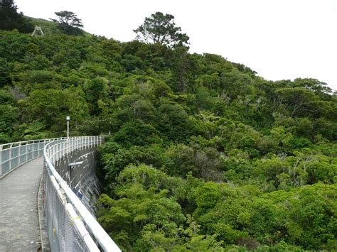 Zealandia - Atlas Obscura