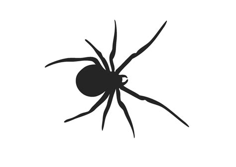 Spider Silhouette Png - ClipArt Best