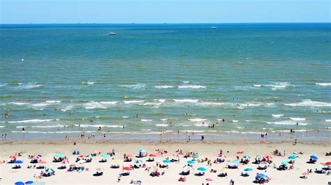 Experience Galveston Island in unique ways this summer