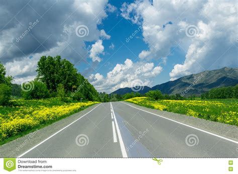 Paved mountain road stock photo. Image of summer, roadside - 73537108