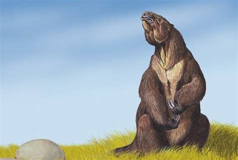 Did humans cause the extinction of the giant ground sloths? - The Sloth ...