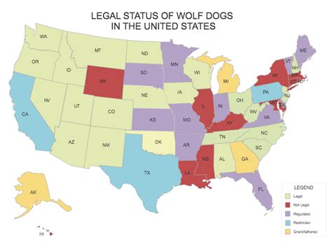 Where Is It Legal To Own A Wolf Dog