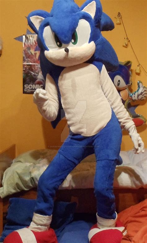 sonic the hedgehog costume by shadowhatesomochao on DeviantArt