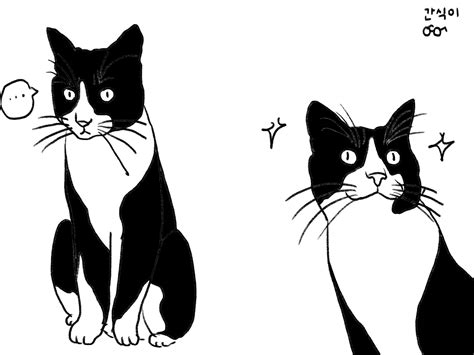 tuxedo cat | Cat art, Cat tattoo, Cat drawing