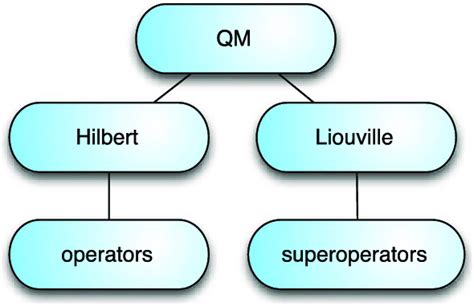 Organization of the quantum mechanics (QM) packages of SpinDynamica ...