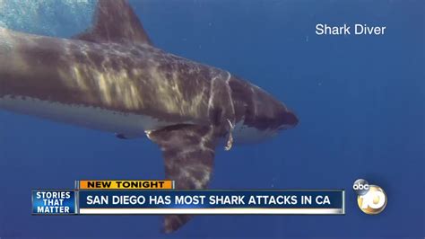 San Diego is hot spot for shark attacks