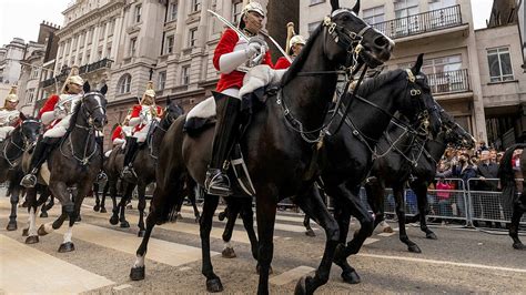 Eleven things to know about Household Cavalry horses on parade