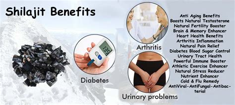 Shilajit Benefits - Botanicals One