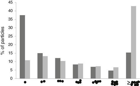 Gold nanoparticles distribution on APTES/MUA (dark) and on APTES ...