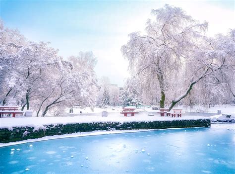 Winter Park Jigsaw Puzzle