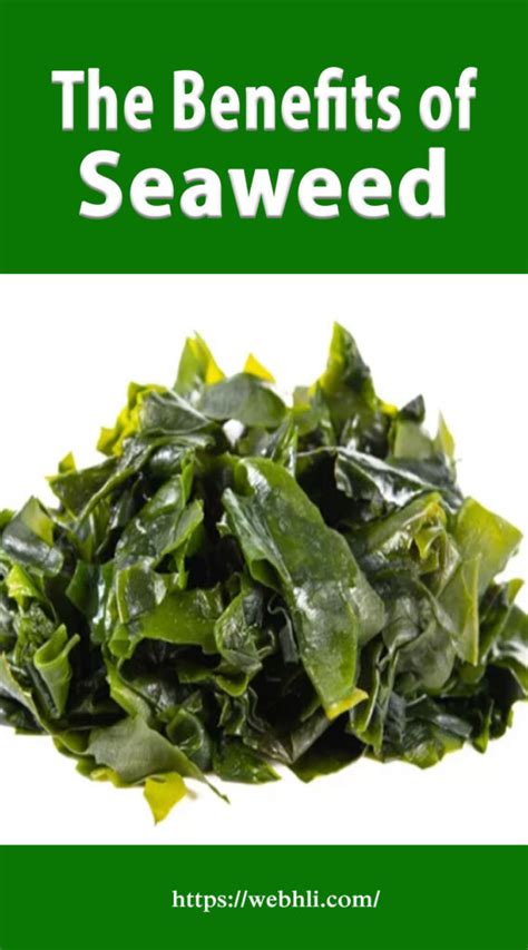 The Benefits of Seaweed: Its Vitamins and Importance to Your Overall ...