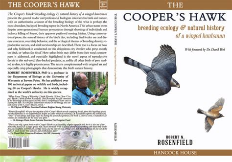 (PDF) The Cooper's Hawk, breeding ecology and natural history of a ...