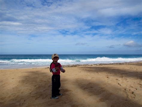 Picture from the Pupukea Beach Park Trail | This is a pictur… | Flickr