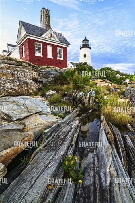 Pemaquid Point Lighthouse - Grateful Art Licensing