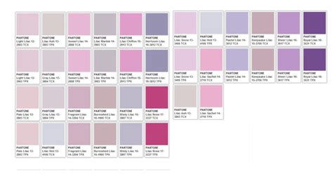 Purples Pantone Color Chart, Purple, Pantone Colour, 42% OFF