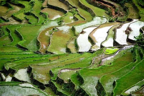 The Banaue Rice Terraces is one of the UNESCO World Heritage sites in ...