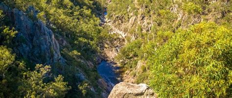 Crows Nest National Park | Trail Hiking Australia