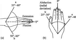 Joint Rom Chart - Head Circumference - GUWS Medical