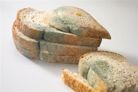 Fungus on bread stock photo. Image of health, closeup - 9754520