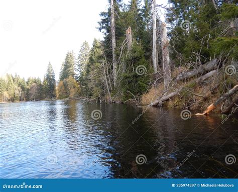 Lake Laka in Autumn Day Bohemian Forest Stock Image - Image of clouds ...