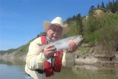 A Golden Opportunity - Fishing Article by The Fishin' Hole