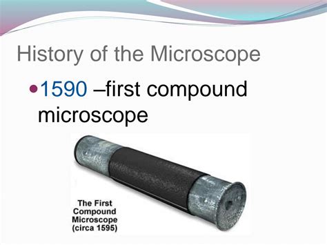 SOLUTION: Microscope and its field of view - Studypool