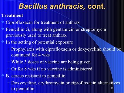 Aerobic spore forming bacilli