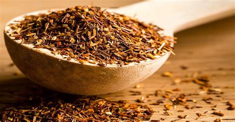 Rooibos Tea Can Prevent Heart Attacks, Strokes And Cancer