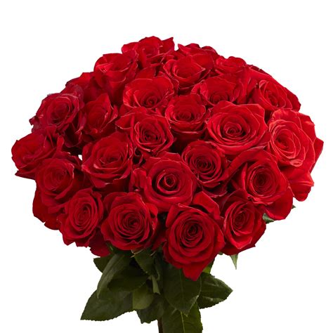 Amazon.com : 50 Red Roses- Fresh Flowers- Bright Color Blooms : Grocery ...