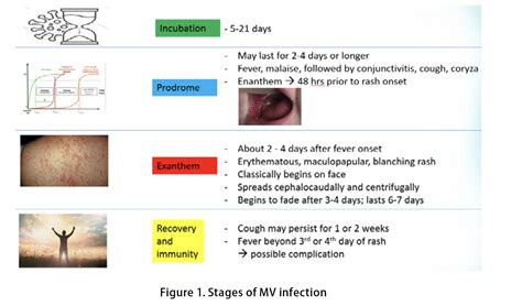 MEASLES OUTBREAK 2023: IMPORTANT REMINDERS | The Travel Clinic