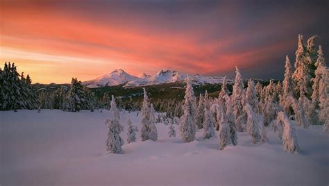 neat reflection of light on the snow | Oregon travel, Winter landscape ...