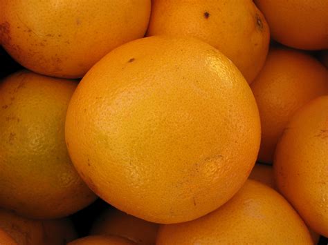 File:Florida grapefruit.jpg - Wikimedia Commons