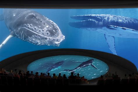 Long Beach aquarium plans new wing and 'immersive theater' by 2018 ...