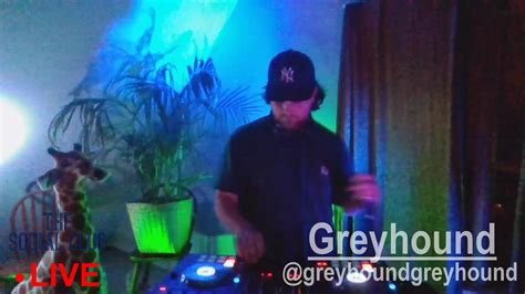 Greyhoun Livestream pt. 2 | Greyhound, one of Milwaukee's fastest ...