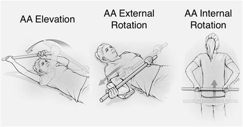 Physical Therapy Exercises for the Shoulder - Shoulder & Elbow