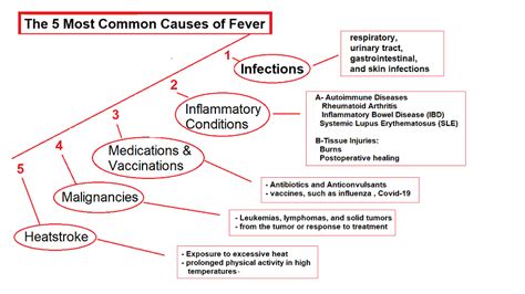 The Five Most Common Causes of Fever - Helal Medical