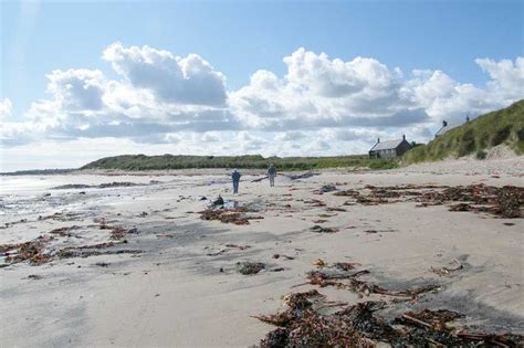 Seahouses Coast Walks