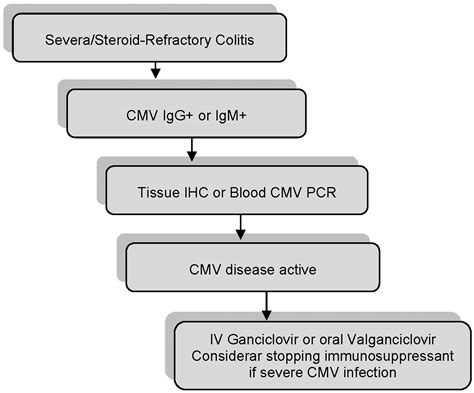 Management of CMV-Associated Diseases in Immunocompromised Patients ...