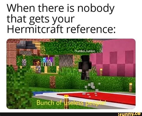 When there is nobody that gets your Hermitcraft reference: Bunch of use ...