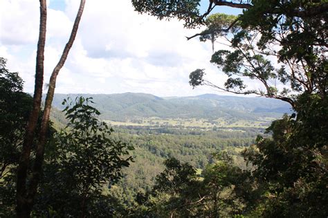 sunshine coast hinterland | gaybymamawebsite