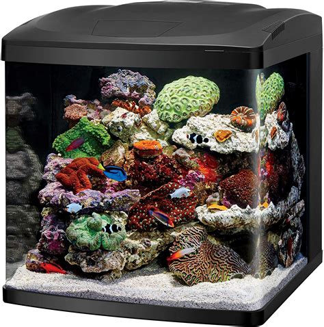 11 Best Saltwater Aquarium Kits: The Ultimate List (2022) | Heavy.com