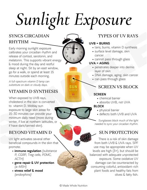 Vitamin D Handout — Functional Health Research + Resources — Made Whole ...