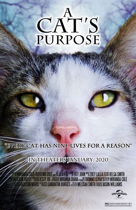 ArtStation - A Cats Purpose Movie Poster (parody)