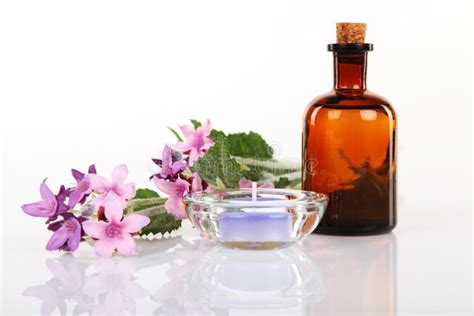 Aromatherapy and Massage Oil Stock Photo - Image of wellness, healthy ...