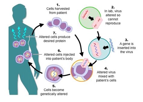 From Science Fiction to Reality: Biomedical Devices and their Impact on ...