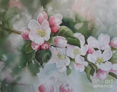 Apple blossom by Elena Oleniuc