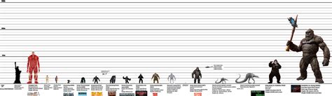 King Kong Size Chart