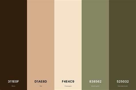 20 Brown Color Palettes With Names And Hex Codes –, 57% OFF