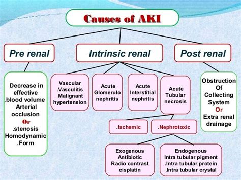 Acute kidney injury dr. osama el shahat