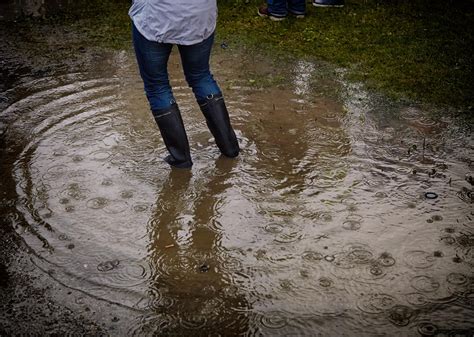 What to Do About Spring Yard Flooding